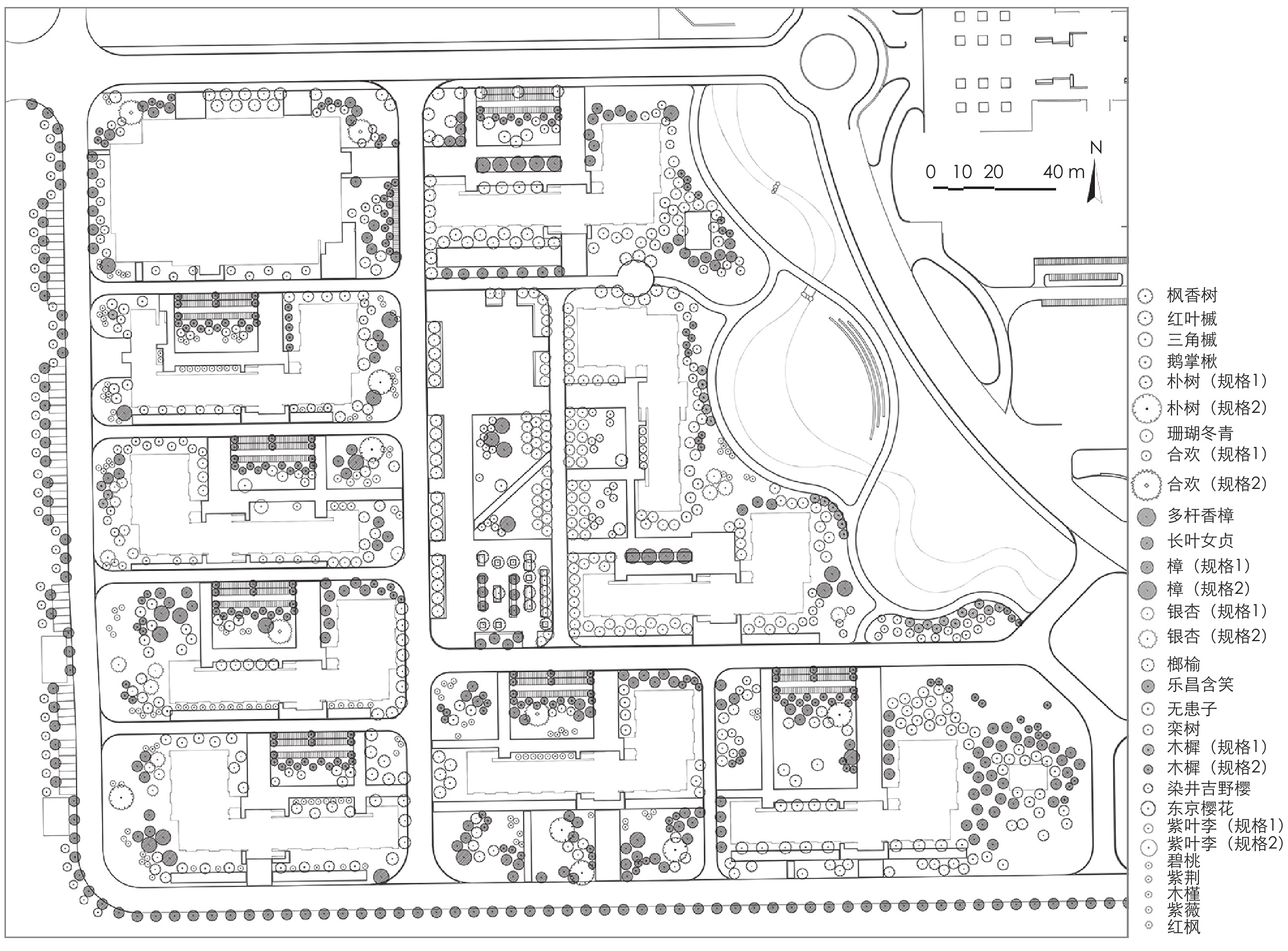 基于L-system算法的植物信息模型构建和三维绿量分析