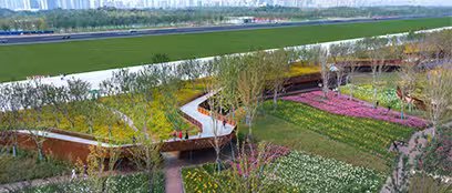 Influence Mechanism of Perceived Biodiversity on Mental